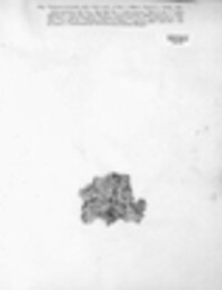 Lecanora tartarea image